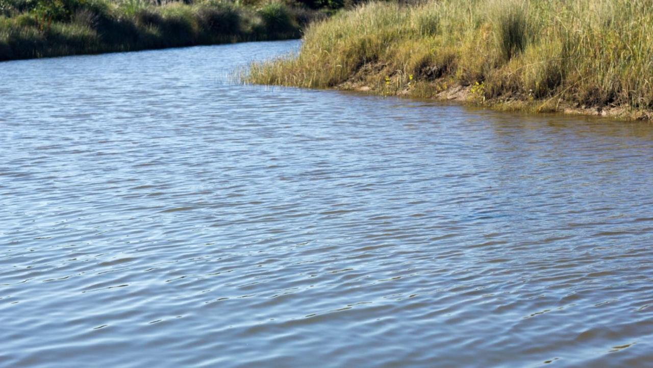 Beleza Pura B&B Balneario Buenos Aires Exteriör bild